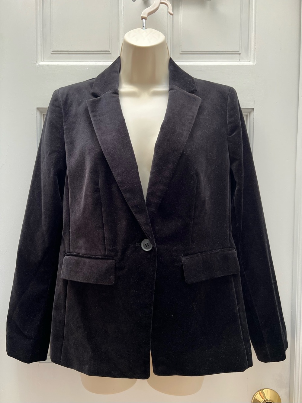 LOFT velvet blazer - no tags but never worn